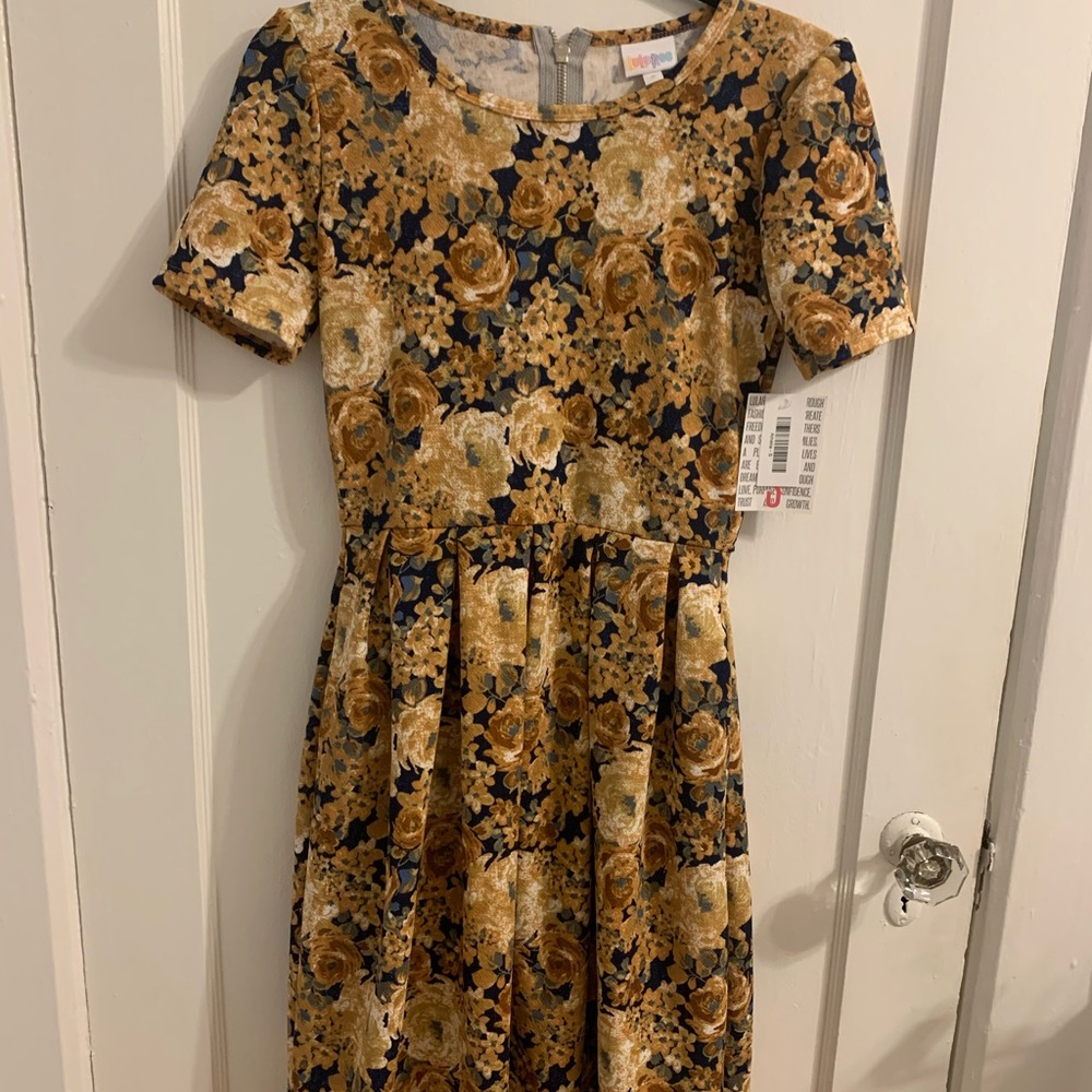 Lularoe Amelia dress